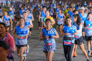 BIB: 153681, 145831, 978, 1446
                            <button type="button" onclick="openModal(23096322)" class="btn btn-primary btn-sm float-right btn-popup" data-toggle="modal" data-target=".modal-high-quality">
                        <i class="fas fa-shopping-cart"></i> Add to Cart
                    </button>
                                            <button type="button" onclick="isThisMe(23096322, true)" class="btn btn-success btn-sm float-right btn-popup btn-isme hidden" data-toggle="tooltip" data-placement="bottom" title="นี่คือรูปของคุณใช่ไหม คลิกที่นี่เพื่อเอาเข้าอัลบั้ม">
                        <i class="fas fa-plus"></i> Add to album
                    </button>
                    <button type="button" onclick="isThisMe(23096322, false)" class="btn btn-warning btn-sm float-right btn-popup btn-isnotme hidden">
                        <i class="fas fa-ban"></i> Remove from album
                    </button>